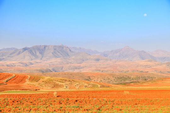 Dramatic beautiful mountain landscape with terrassed fields during spring, Lesotho, Southern Africa
