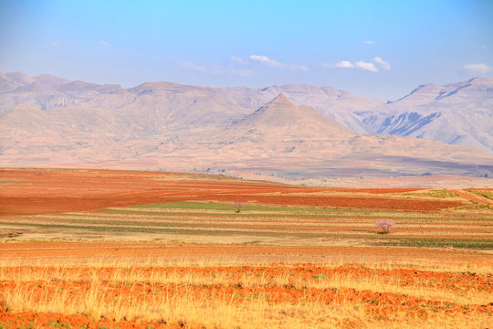 Dramatic beautiful mountain landscape with terrassed fields during spring, Lesotho, Southern Africa