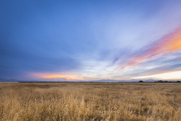 Sunrise on the Millville Plains in Northern California in the summer with golden grass and clouds and the Lassen Peak volcano in the distance