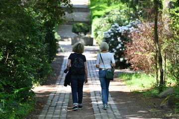 Two girlfriends walking on a cemetery 