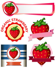 Strawberry Banner on White Background