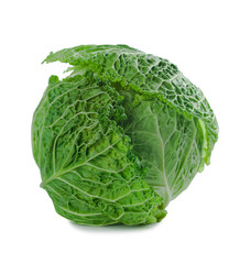 Fototapeta premium Savoy cabbage isolated on a white background