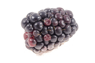  blackberry fruit