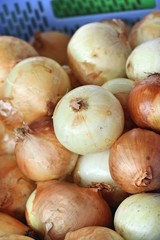 Fresh onion for cooking at street food