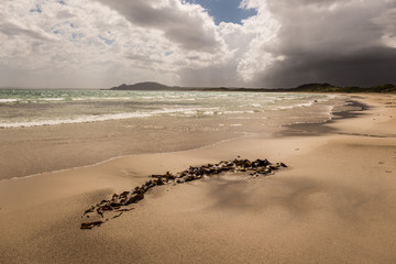 Stormy skies, Green Point beach
