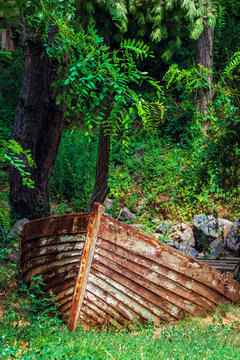 Photo of old rusty boat in the forest near the river