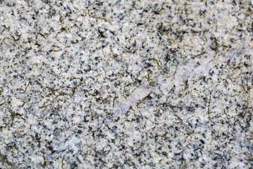 Natural stone red granite texture background. Red granite texture stone background. Red granite texture untreated surface.