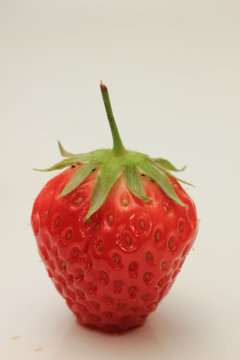 Big single strawberry