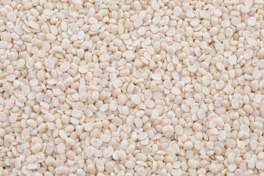 Urad Dal or Black Gram Split Pulse Unpolished Without Cover Also Know as Vigna Mungo, Black Gram, Urad Bean, Minapa Pappu, Mungo Bean, Black Matpe Bean or Split Black Gram Seeds.