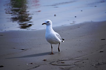 walk on the beach