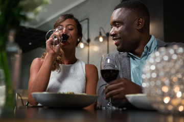 Happy couple having red wine while dining