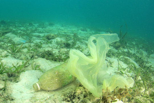 Plastic water bottles and carrier bags pollute sea floor
