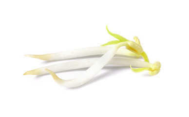 bean sprouts, soybean sprouts on a white background