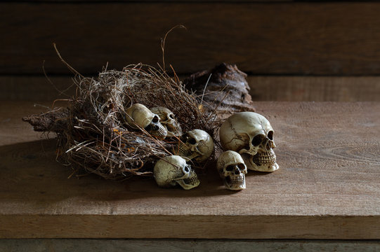 Little Skulls in and out bird nest on the wooden plank which has dim light and space for message