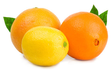 orange and lemon isolated on white background