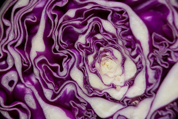 Fototapeta premium Full frame shot of cabbage