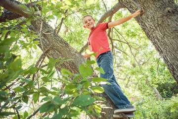 Happy smiling boy  in a tree