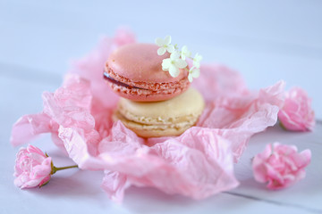  Macaron cake set. Macarons in pastel colors in a pink crumpled paper on a  blue wooden background. delicious dessert