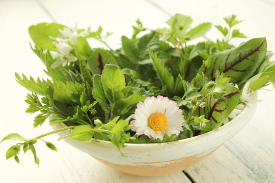Wild Wildkräuter frischer Salat Wildkräutersalat Schale Tisch frisch essbare Blüten