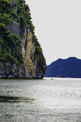 Sailing by a Limestone Cliff Covered in Lush Green Trees in Halong Bay, Vietnam