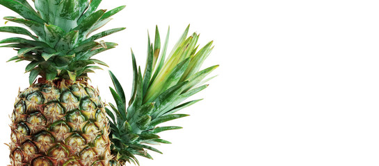 Pineapple with white background.