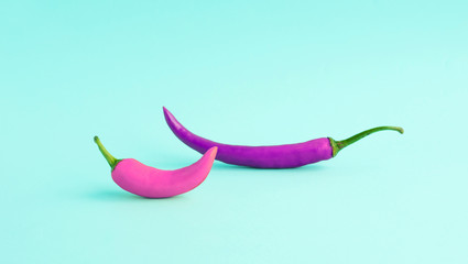 Colorful of exotic chilli on pastel color