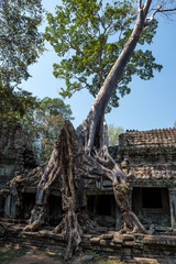 Kambodscha - Angkor - Preah Khan