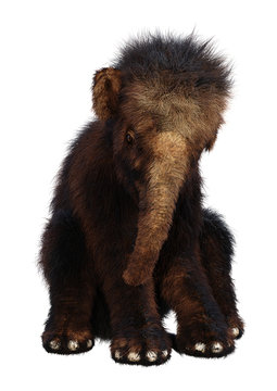 3D Rendering Woolly Mammoth Baby on White