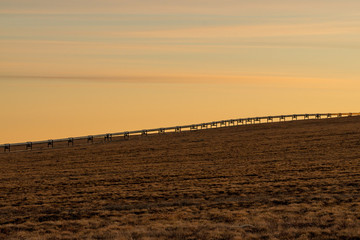 夕暮れの平原とパイプライン
