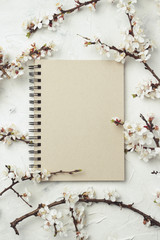 Notebook and a sprig of cherry flowers on a light stone background. Flat lay, top view