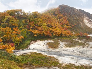 Fototapeta na wymiar The Autumn Leaves season in Hokkaido ,Japan