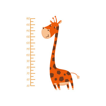 Scale for measuring kids growth and funny giraffe. Animal with long neck and spotted body. Wall decor for children room. Flat vector design