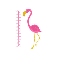 Kids height chart and flamingo. Exotic bird with pink feathers, yellow beak and long thin legs. Wall decor for children room. Flat vector