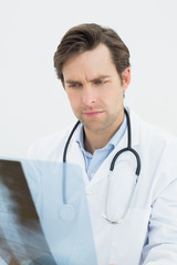 Closeup of a concentrated doctor examining spine x-ray
