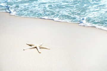 Starfish on the beach sand and blur sea background, Concept summertime on beach