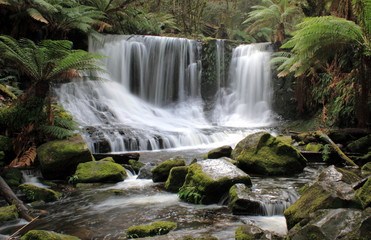 Waterfall in Mount Field National Park Tasmania Australia - 202887136