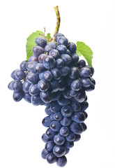 Grape fruit