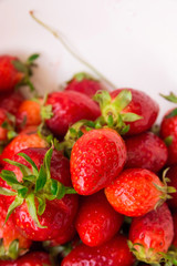 Heap of Ripe Organic Garden Strawberries Washed in Colander with Glossy Surface Texture. Summer Vitamins Preparing Cooking Preserves. Vibrant Colors. Lifestyle Image Authentic Atmosphere. Copy Space