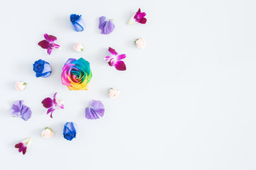 Flowers composition. Rainbow flowers on pastel blue background. Flat lay, top view, copy space