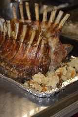 Rack of Lamb
