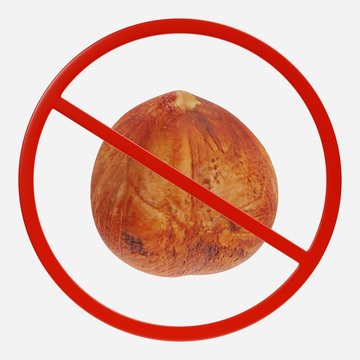 3D Render of Prohibition Sign with Hazelnut
