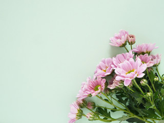 Bouquet of pink chrysanthemum flowers on a green and pink background, top view