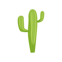 Cactus plant, traditional symbol of Mexico vector Illustration on a white background