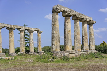 Italy, Basilicata, Metaponte, Hera Temple, Doric Temple