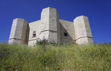 Fototapeta na wymiar Italy, Apulia, Castel del Monte, Unesco