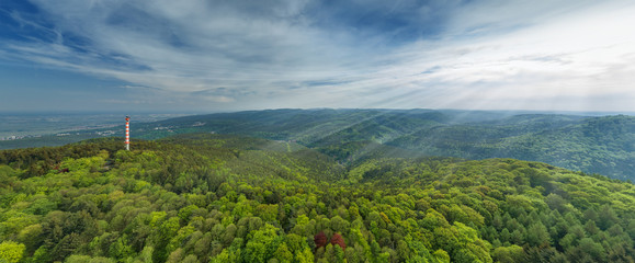 Luftbild Pfälzer Wald