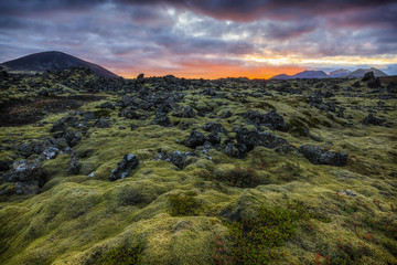 Lavafeld Berserkjahraun auf der Halbinsel Snæfellsnes, Island