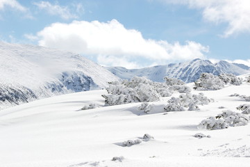 Fototapeta na wymiar snow-covered mountains in Bulgaria