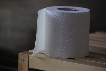 toilet paper roll