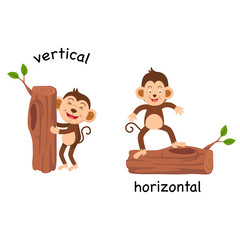 Opposite vertical and horizontal vector illustration